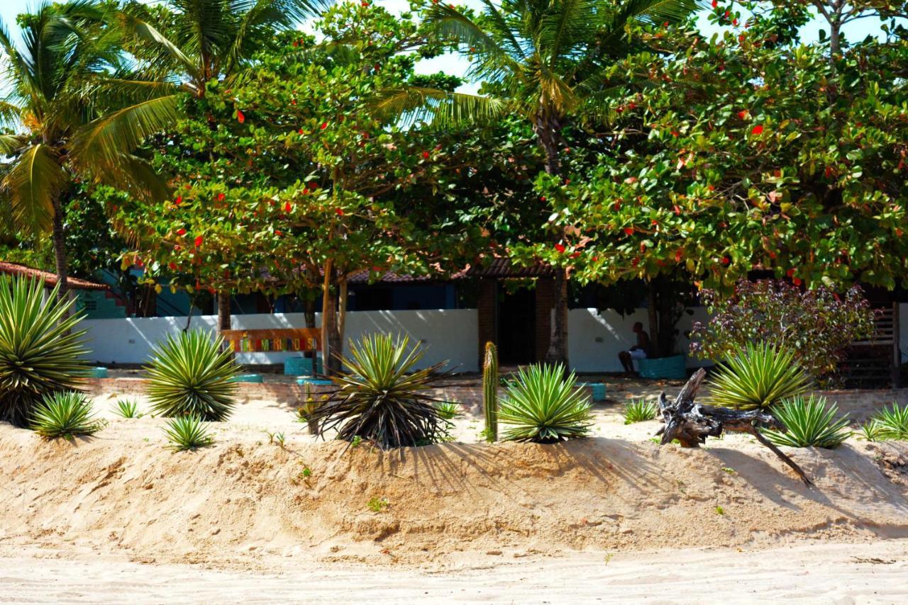 Hostel America Do Sul Jijoca de Jericoacoara Bagian luar foto